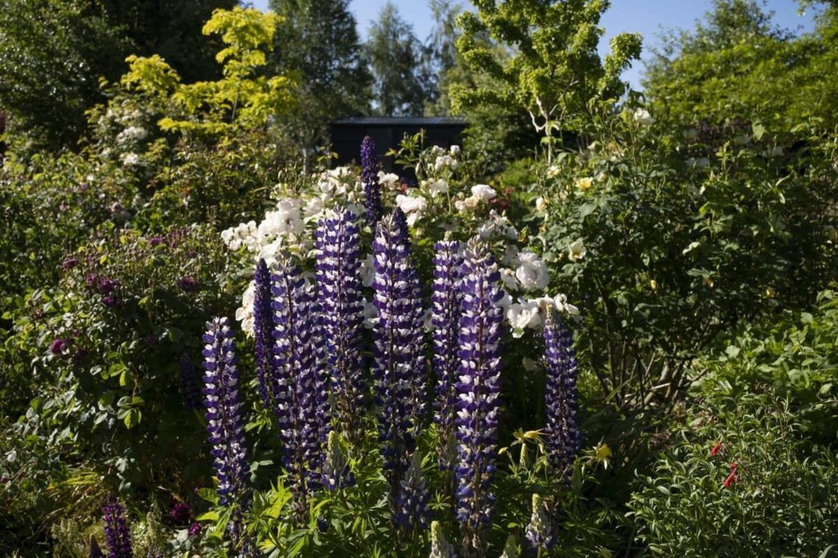 Tiny Away Benger Garden 2 By Tiny Away Villa Millers Flat Buitenkant foto